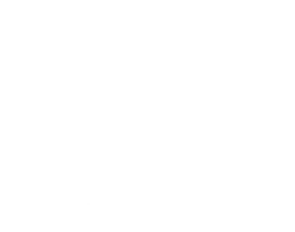 Logo VI Liceum Ogólnokształcącego 