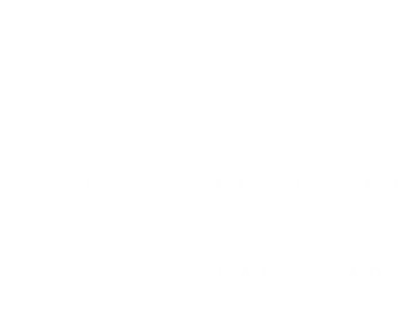 Logo Lubelski Kolportarz
