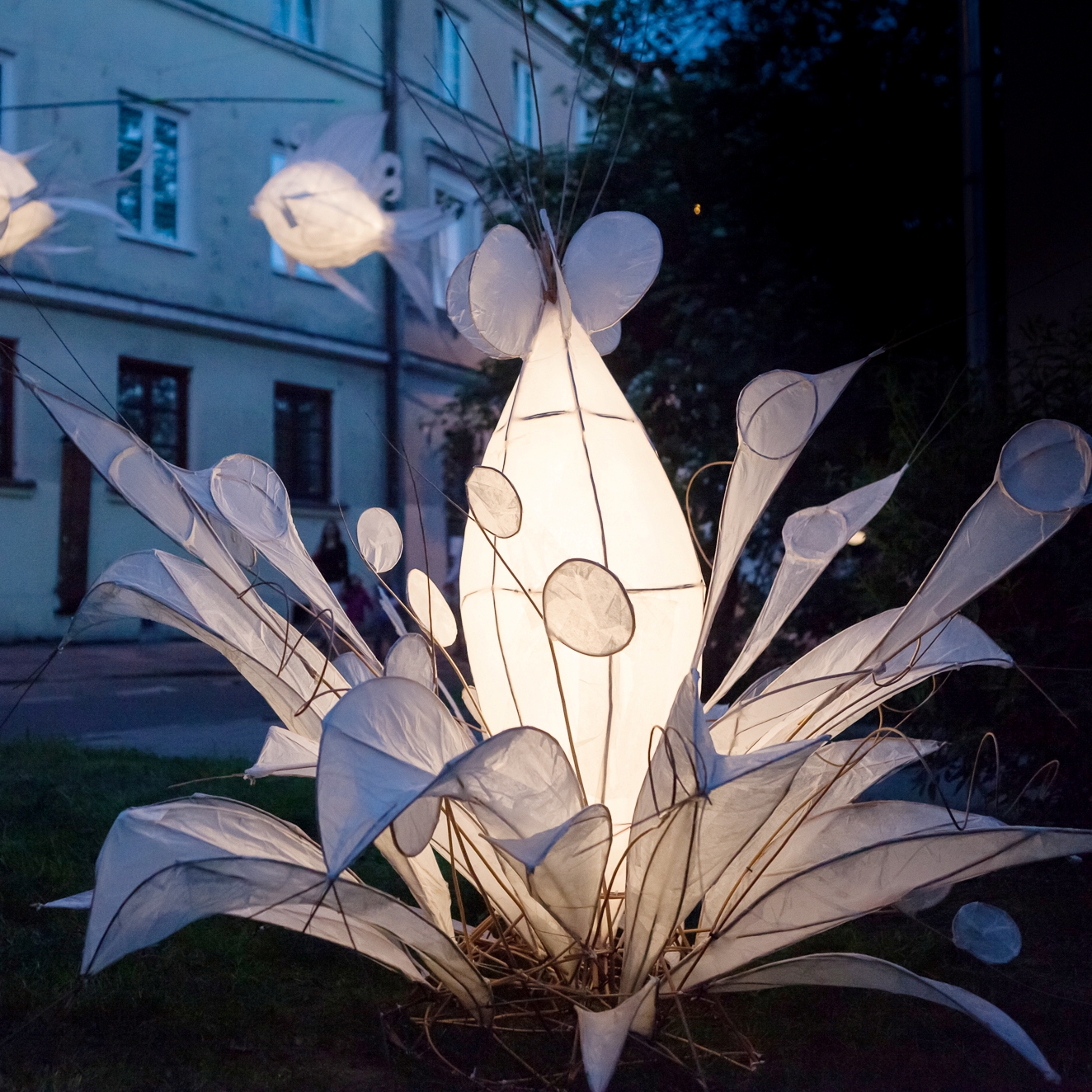 Instalacja artystyczna podświetlanego kwiatu.