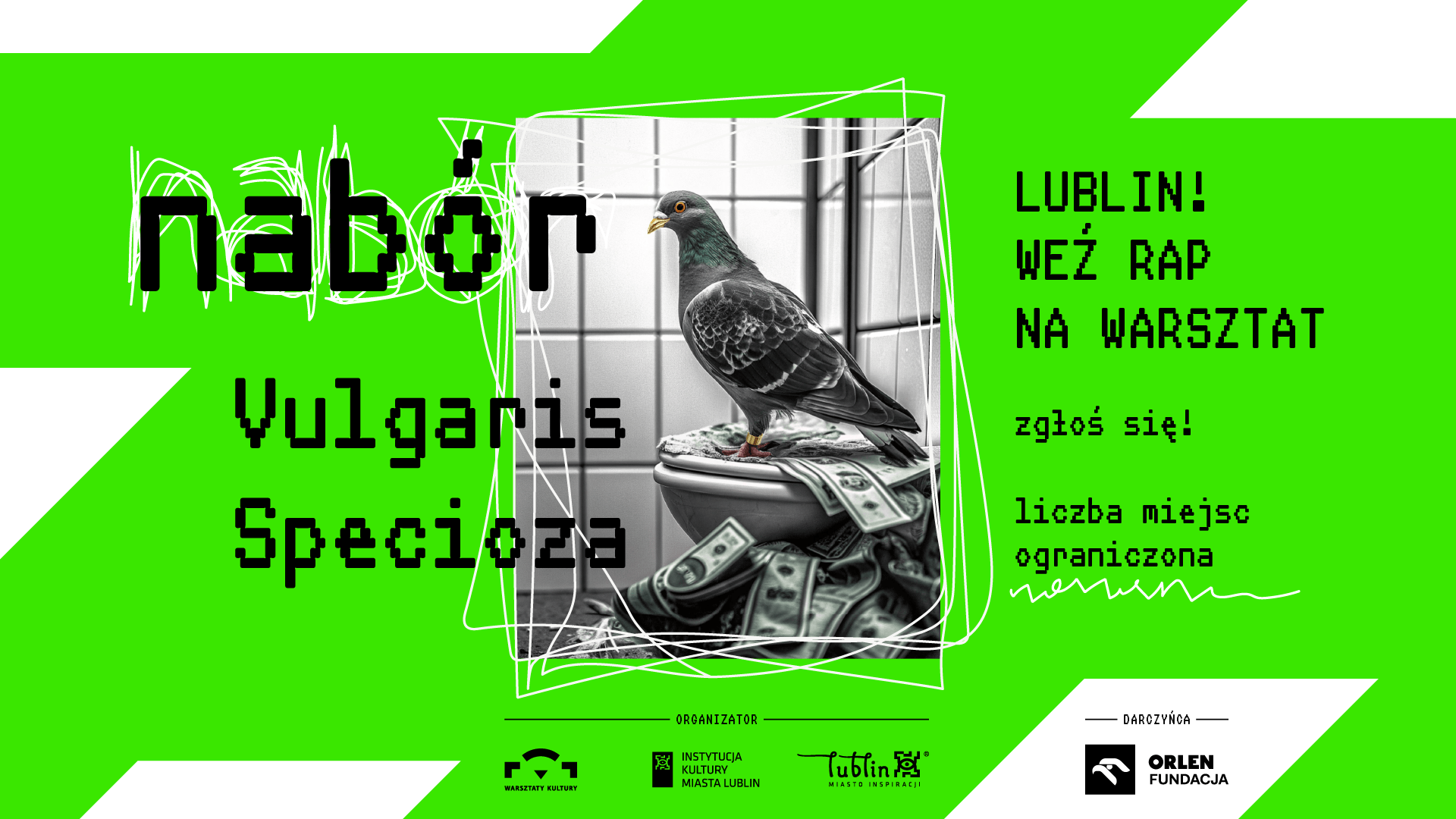 Szary gołąb siedzi na pieniądzach. Na zielonym tle napis: nabór Vulgaris Specioza.